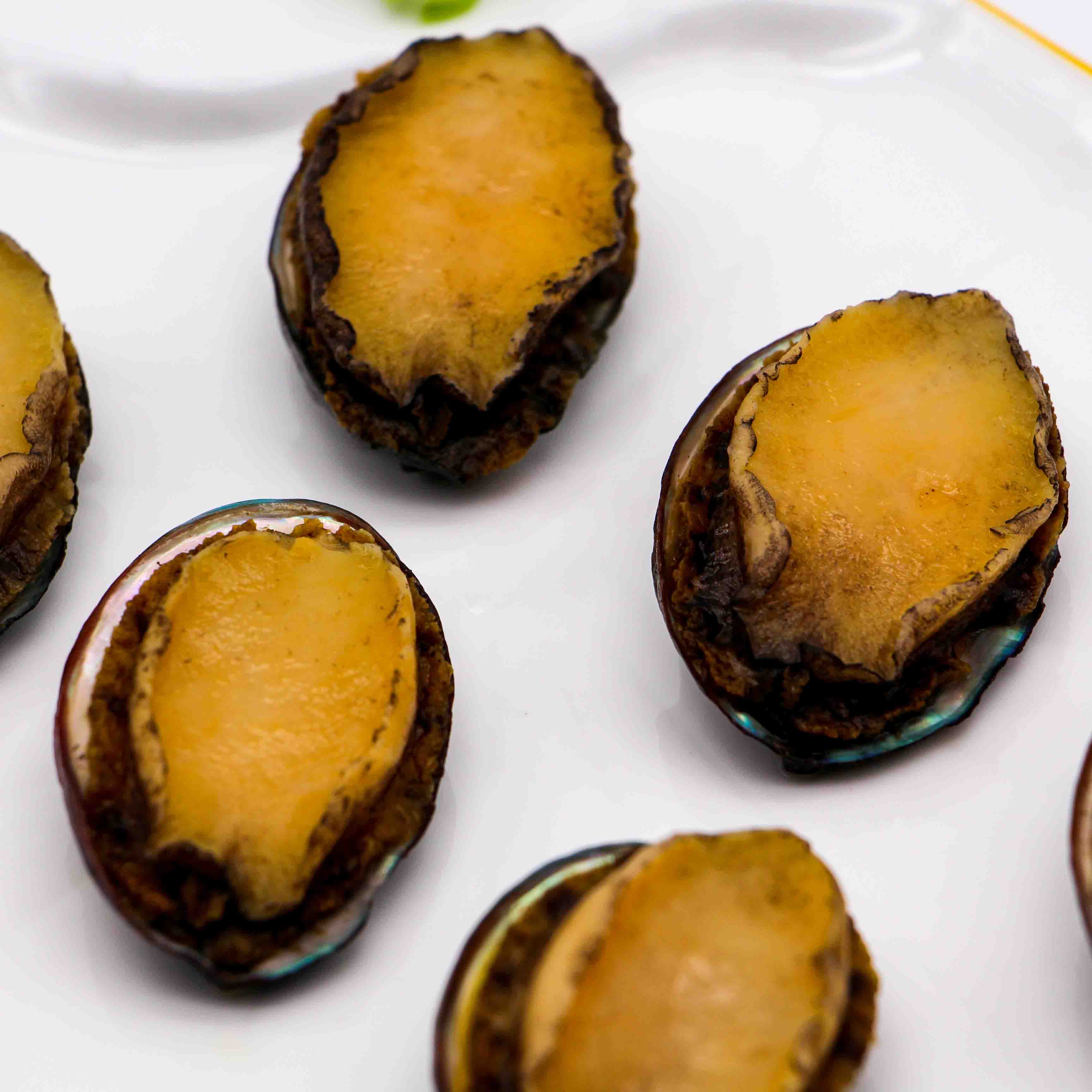Bevroren gekookte Abalone-zeevruchten, gepeld en ingewanden verwijderd